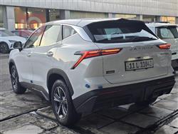 جيتور داشينج